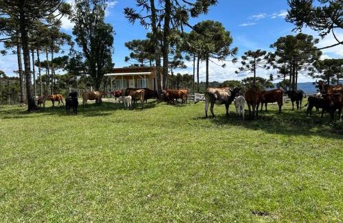 Urubici Chalet De Esquí | Cabana Fazenda Borba
