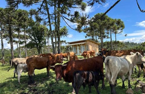 Urubici Chalet De Esquí | Cabana Fazenda Borba