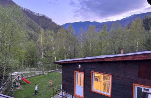 Riu de Mori Casa | Cabana Floare de stâncă Retezat cu Ciubar in pădure