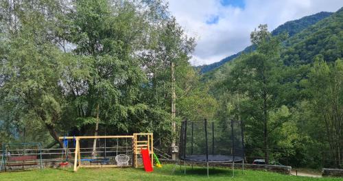 Riu de Mori Casa | Cabana Floare de stâncă Retezat cu Ciubar in pădure