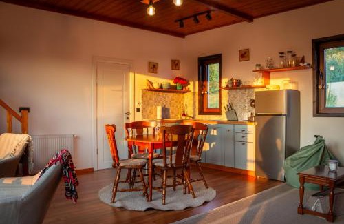 Calatele Chalet De Esquí | Cabana Foxes' Shelter din Beliș, Apuseni