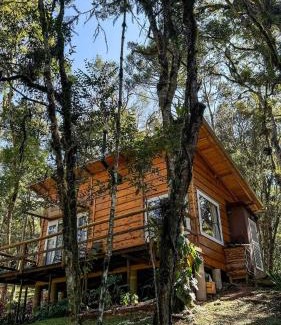 Campo Alegre Casa | Cabana hidromassagem Morada Alma Gêmea