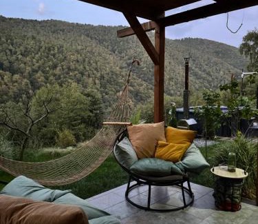Valea Ierii Casa | Cabana Luna