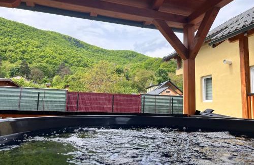 Moldovenesti Casa | Cabana Marc