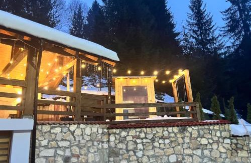 Borsa Chalet De Esquí | Cabana Rose House