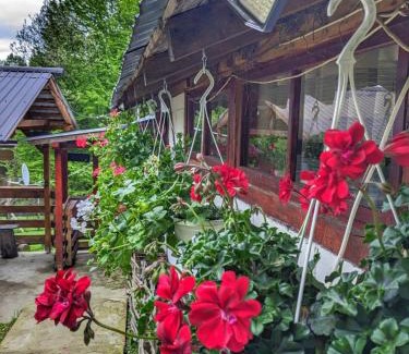 Provita de Sus Casa | Cabana „Stâna din Deal”