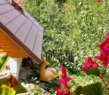 Garda de Sus Cabina | Cabana Stânca Căprioarei - Gârda de Sus