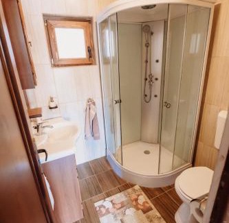 Beclean Casa | Cabana Suzanne Băile Figa-cu aer conditionat