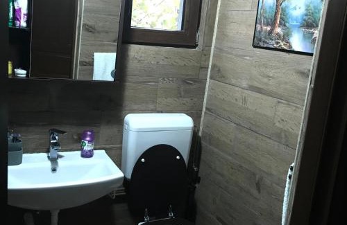 Visinesti Casa | Cabana Trei Brazi Dambovita