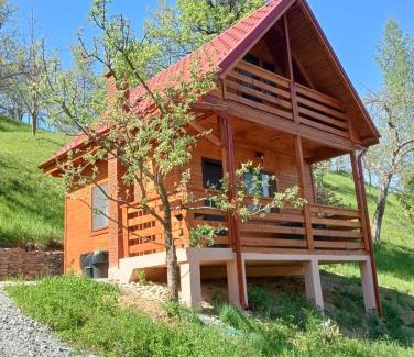 Viseu de Sus Cabina | Cabana Ulmului