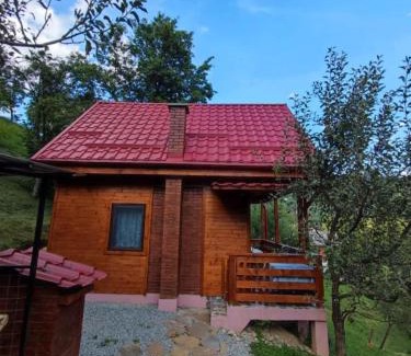 Viseu de Sus Cabina | Cabana Ulmului
