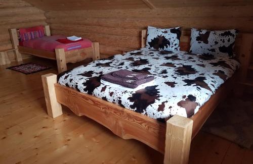 Vatra Dornei Casa | Cabana vultur2 strada popeni