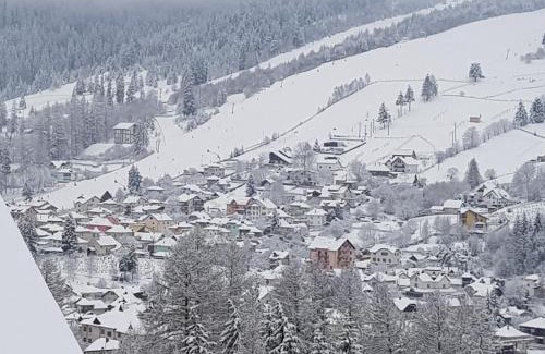 Vatra Dornei Casa | Cabana vultur2 strada popeni
