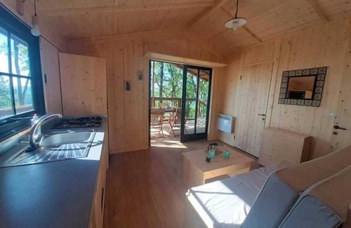 Saint-Cirq-Lapopie Cabina | Cabane 3 étoiles - Piscine - efchbi