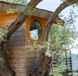 Olmeto Casa | Cabane Dans les Arbres, Domaine de l Ogliastru