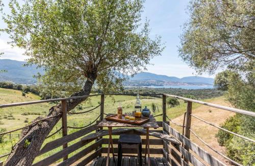 Olmeto Casa | Cabane Dans les Arbres, Domaine de l Ogliastru