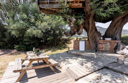Olmeto Casa | Cabane Dans les Arbres, Domaine de l Ogliastru