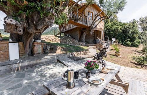 Olmeto Casa | Cabane Dans les Arbres, Domaine de l Ogliastru