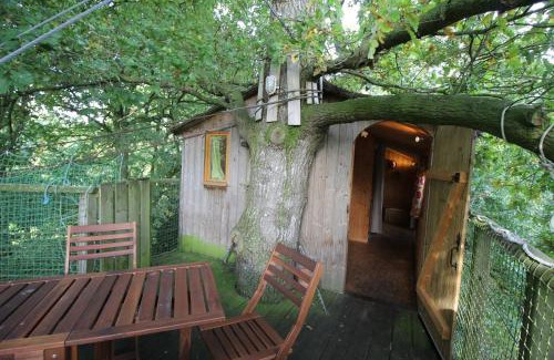 Henanbihen Otro | Cabane dans les arbres