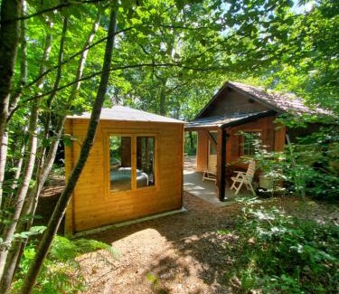Rouffignac-Saint-Cernin-de-Reilhac Apartamento | Cabane des bois