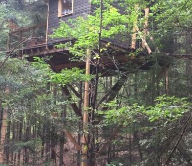 Chatel-Guyon Otro | cabane de l'Ecureuil