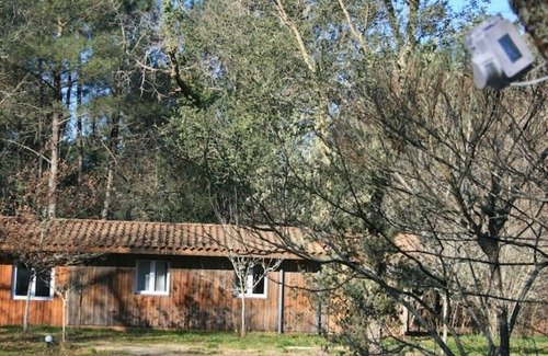 Labouheyre Cabaña | Cabane en Pleine Nature - Domaine Temali