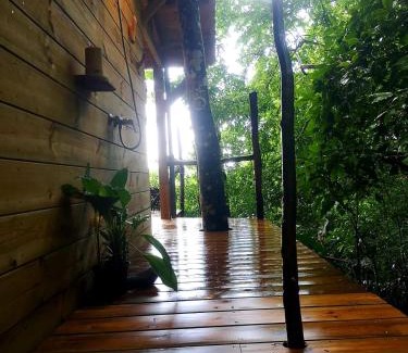 Bas Vent Casa | cabane entre les arbres