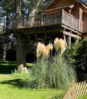 Maisse Otro | Cabane perchée luxe avec jacuzzi Domaine du Marais Maisse