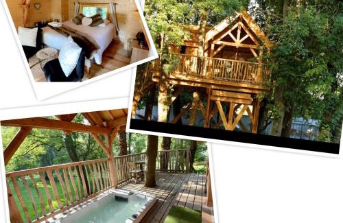 Maisse Otro | Cabane perchée luxe avec jacuzzi Domaine du Marais Maisse