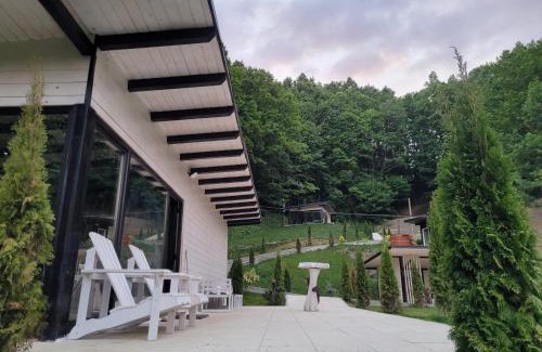 Birsana Cabina | Cabanele din Valea Ursului