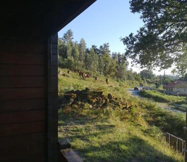 Arcos de Valdevez Otro | Cabaninha de Cabana Maior