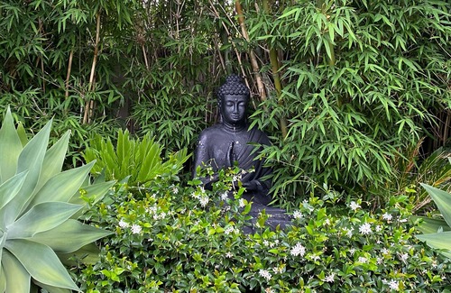 Kiama Casa | Cabbage Tree Art House. $50 food & drinks voucher for all 3 night winter stays.