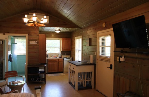 Dennis Cabina | Cabin #2 waterfront point across from Monkey Island at Stony Point Resort