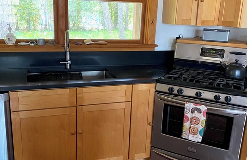 Gouldsboro Cabina | Cabin Among the Pines