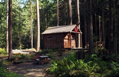 Lime Kiln Cabina | Cabin and adjacent tent site