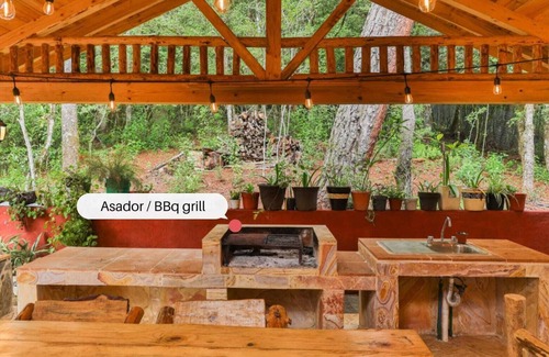 Acaxochitlán Apartamento | Cabin at the Woods l Pet Friendly