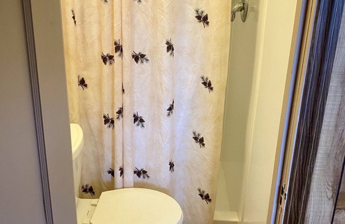 Hot Springs Cabina | Cabin by lake, pet friendly, quiet