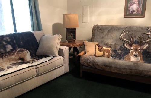 Pine Casa | Cabin Getaway near to Pine, Arizona that is Perfect for a Family Vacation