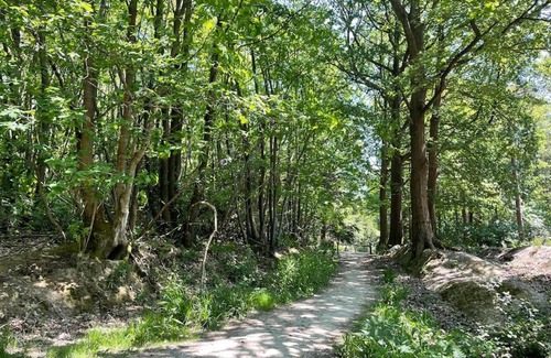 Abbess Roding Apartamento | Cabin in the Woods