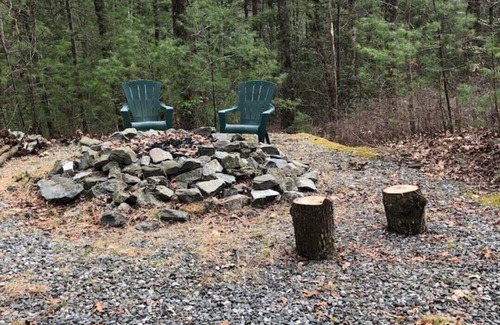 Brevard Cabina | Cabin in Willoughby Wood near Brevard NC