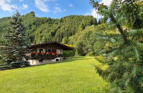 Zoeblen Chalet De Esquí | Cabin in Zöblen with swimming pool