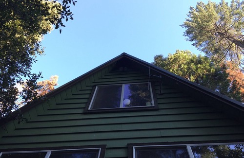 Camp Connell Cabina | Cabin on the Creek: Dog Friendly