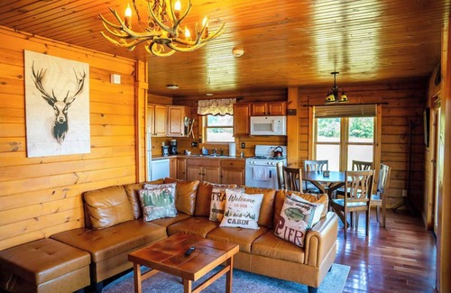 Geneva Cabina | Cabin Otisco Lake Views, Fire Pit & Pool Table