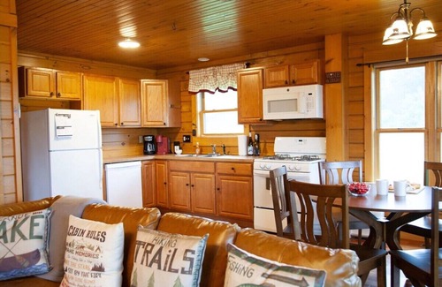 Geneva Cabina | Cabin Otisco Lake Views, Fire Pit & Pool Table