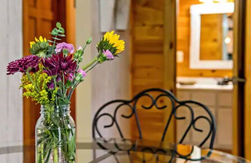 Marion Cabina | Cabin w/ Large Fenced in Backyard, 2 Fire-Pits, Cozy Sofa, Fire-Place, Bike Rack