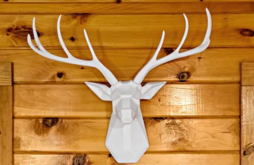 Marion Cabina | Cabin w/ Large Fenced in Backyard, 2 Fire-Pits, Cozy Sofa, Fire-Place, Bike Rack
