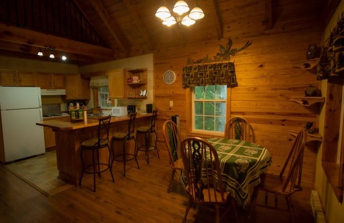 Mustoe Cabina | CABIN W/PRIVATE HOT TUB, MINS TO SNOWSHOE-RESORT,BIKING,HIKING,MOTORCYCLE RIDING