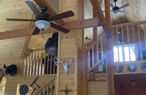 Posey Cabina | Cabin with guest cottage on the creek