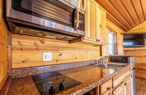 Big Spring Cabina | Cabin with kitchen, 1 room, 2 beds, 1 bath, Shower