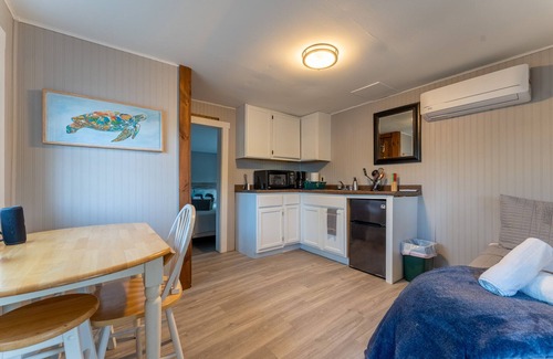 Alton Bay Cabina | Cabin with lake views & lake access Now featuring AC Wi-FI and TV sleeps 5